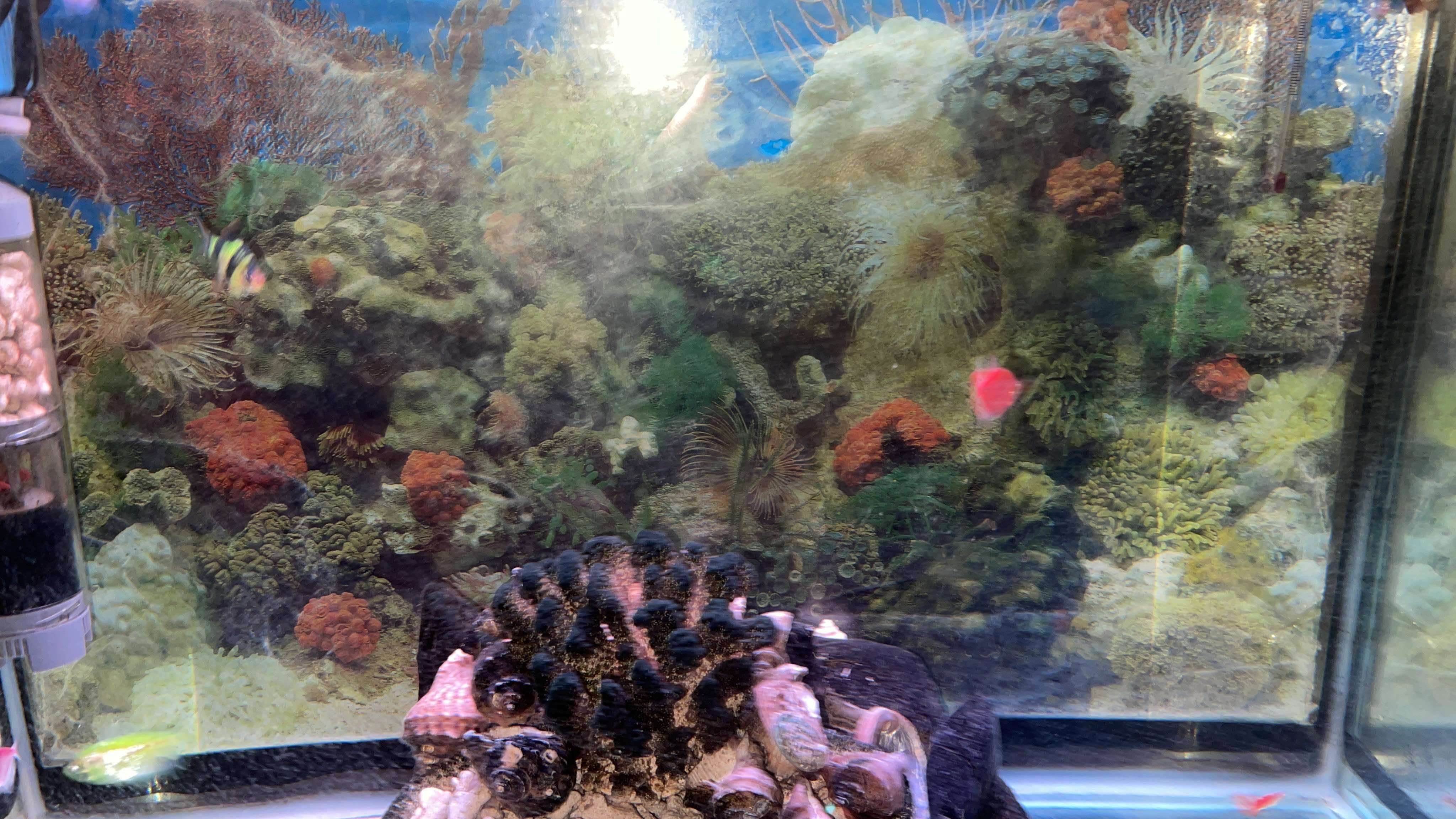 新源里东个人出租