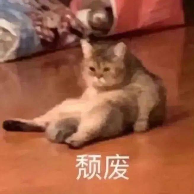 三角洲老师