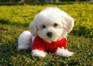 life_photo_0