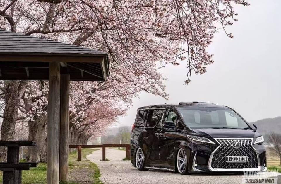 来咯来咯，老登来咯！