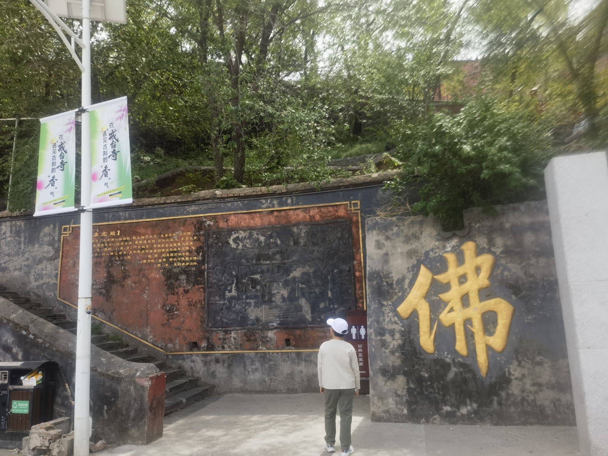 杨洋
