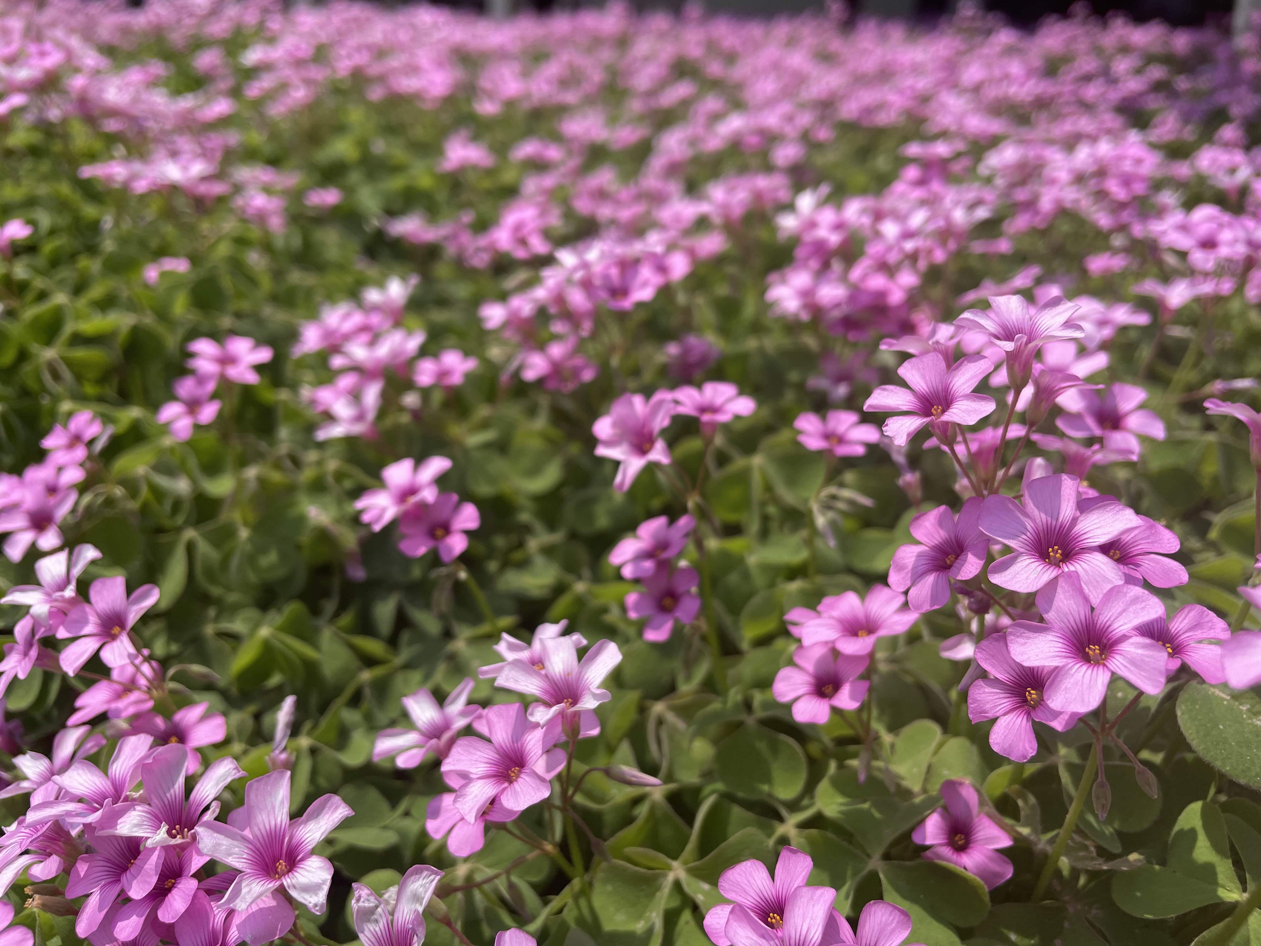life_photo_3