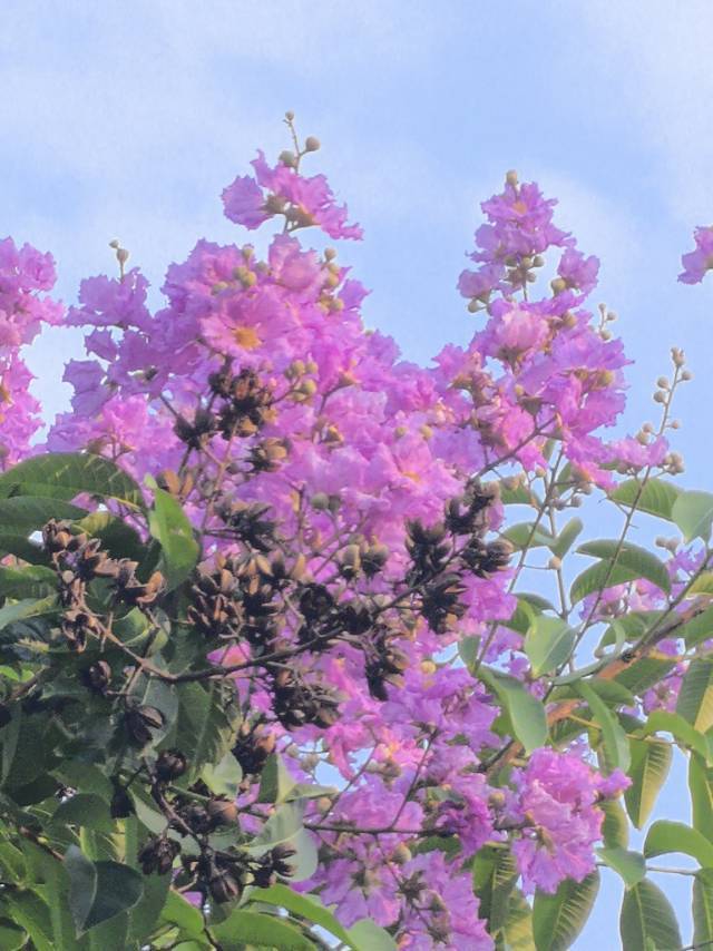 随缘