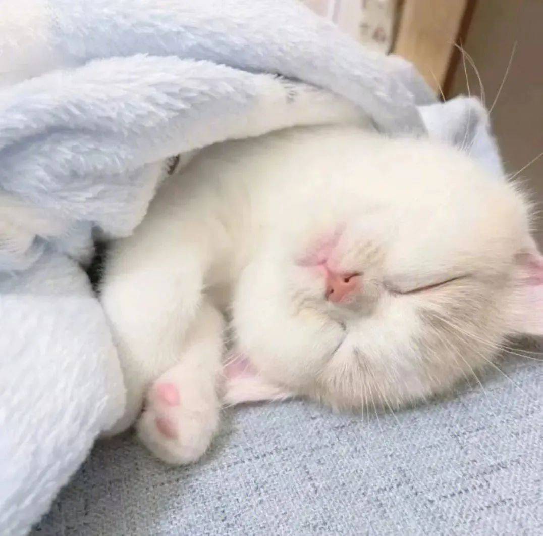 热爱漫无边际，生活自有分寸