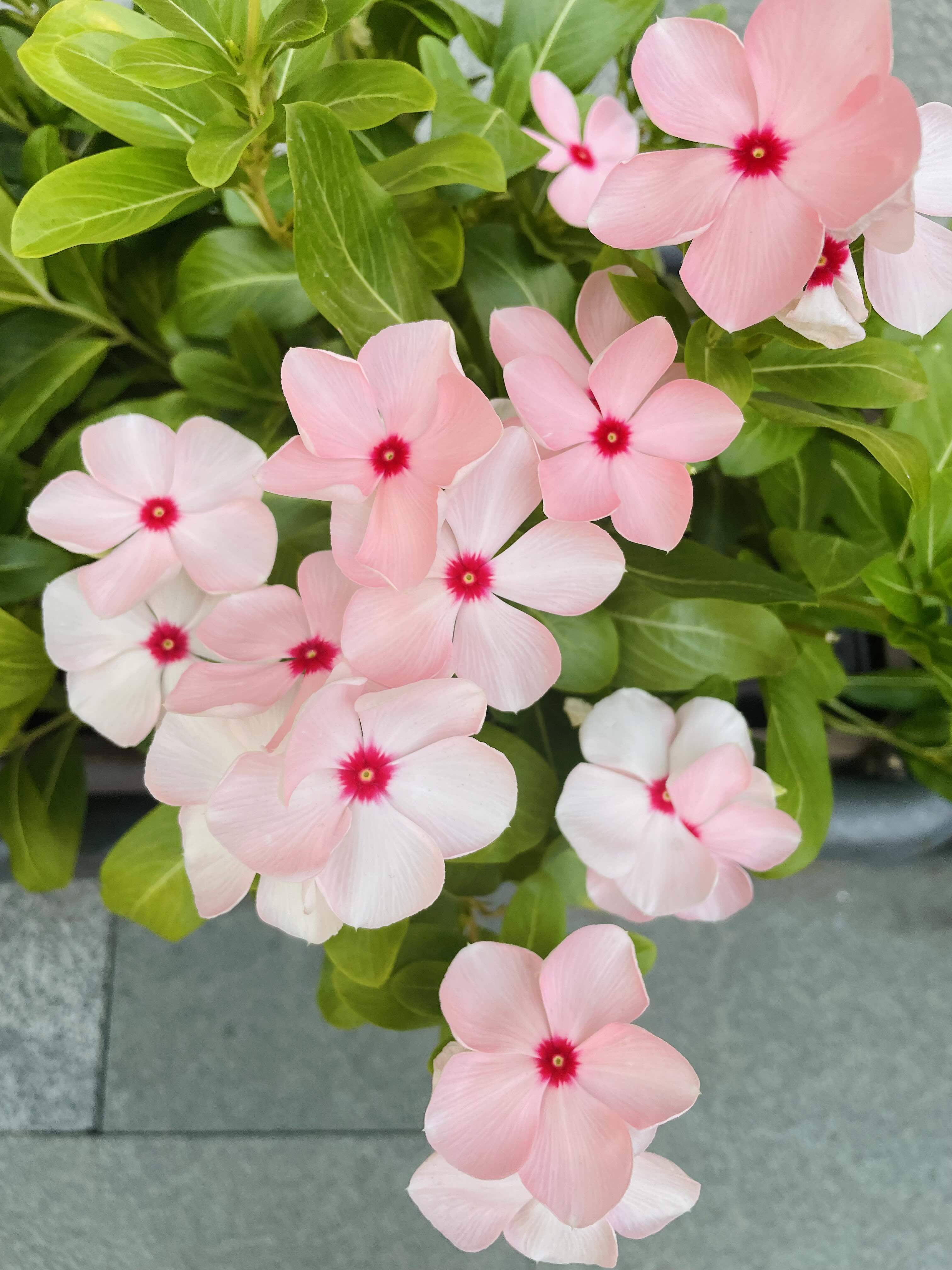 life_photo_2