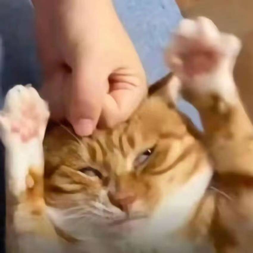 123