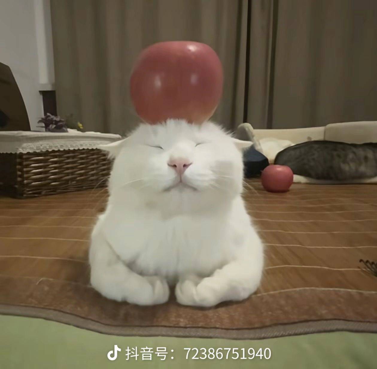 妮妮