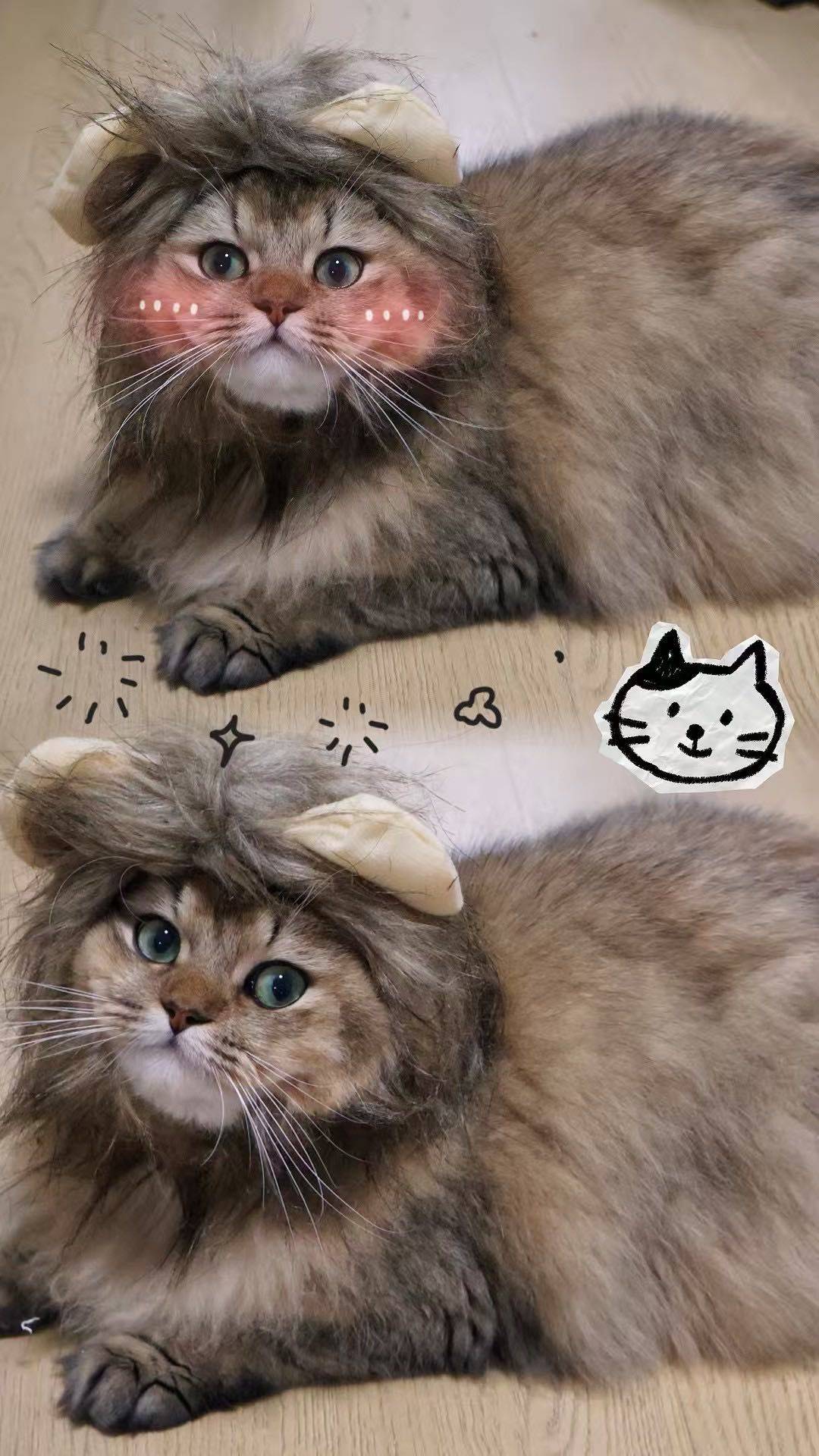 唐