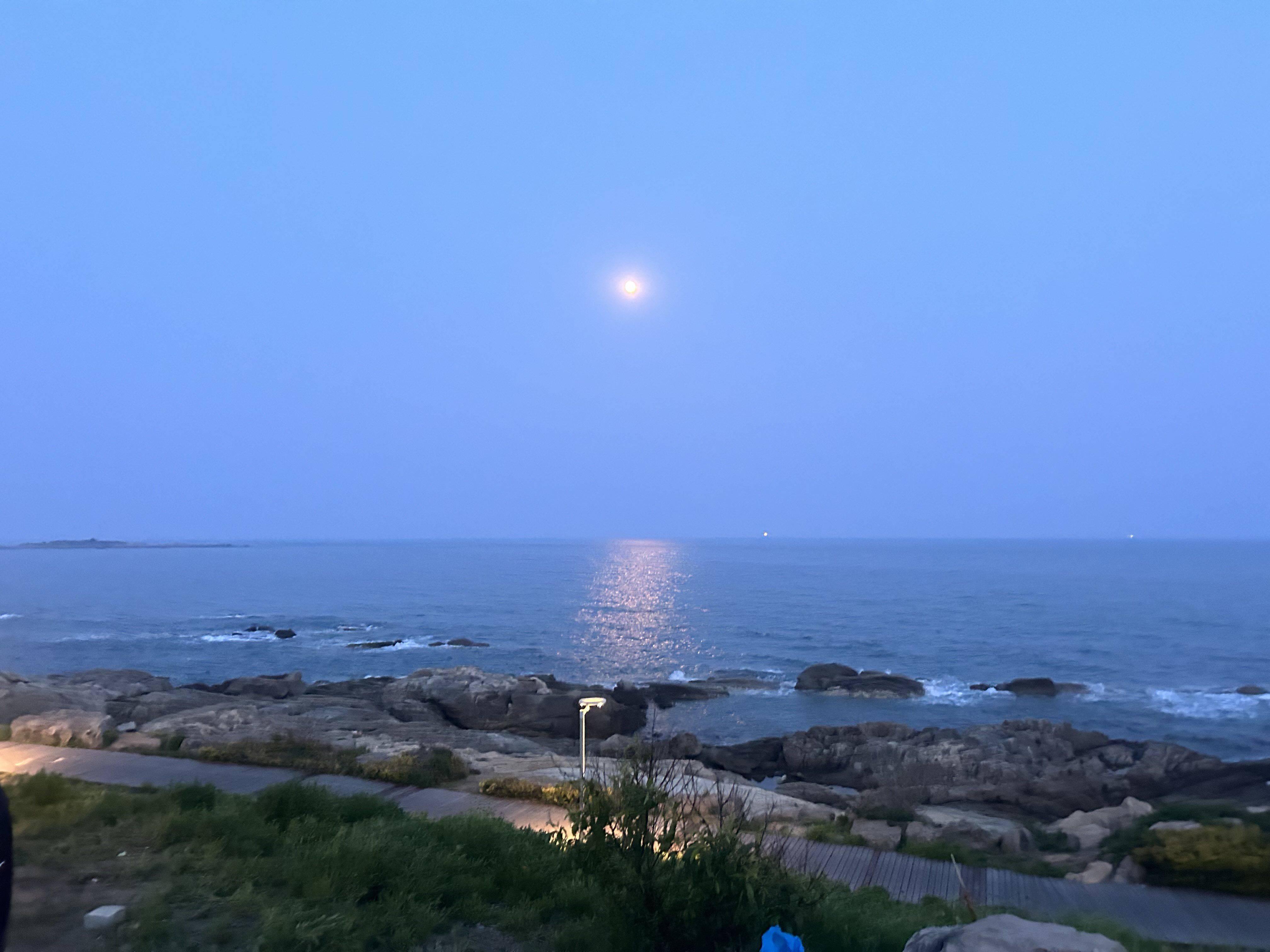 上上条