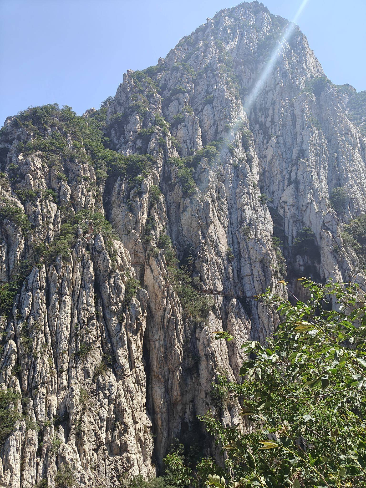 didajidian