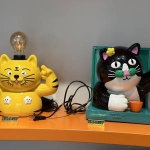 何小禾