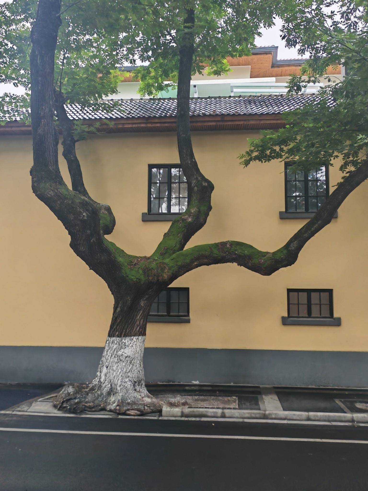 life_photo_0