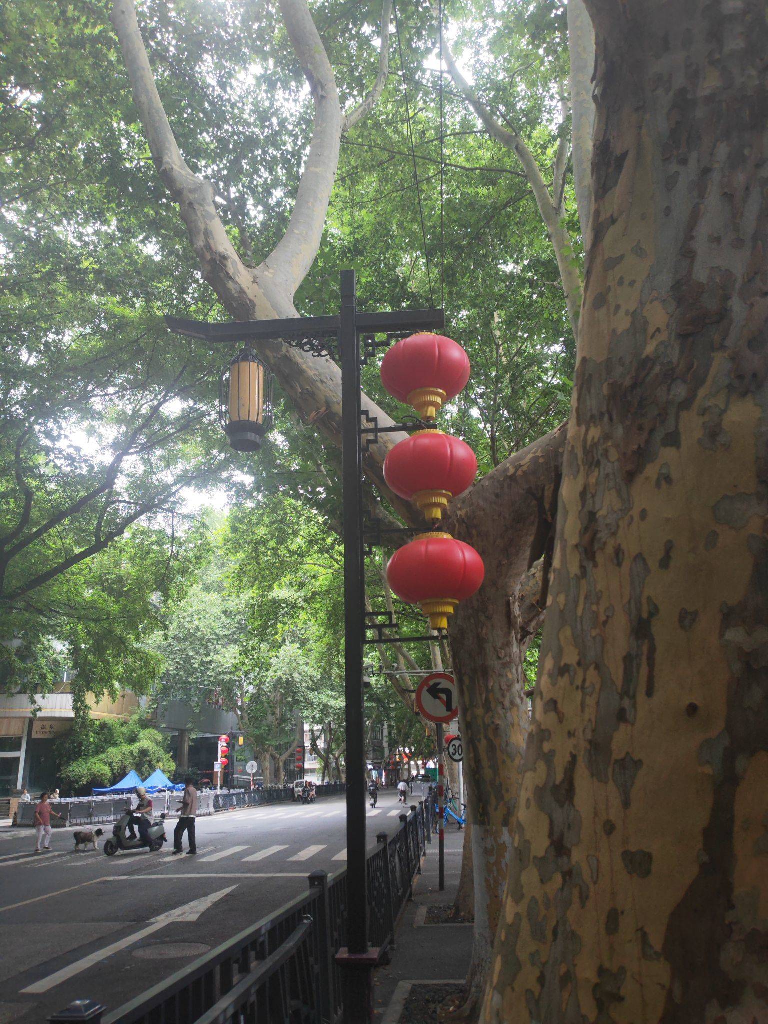 life_photo_3