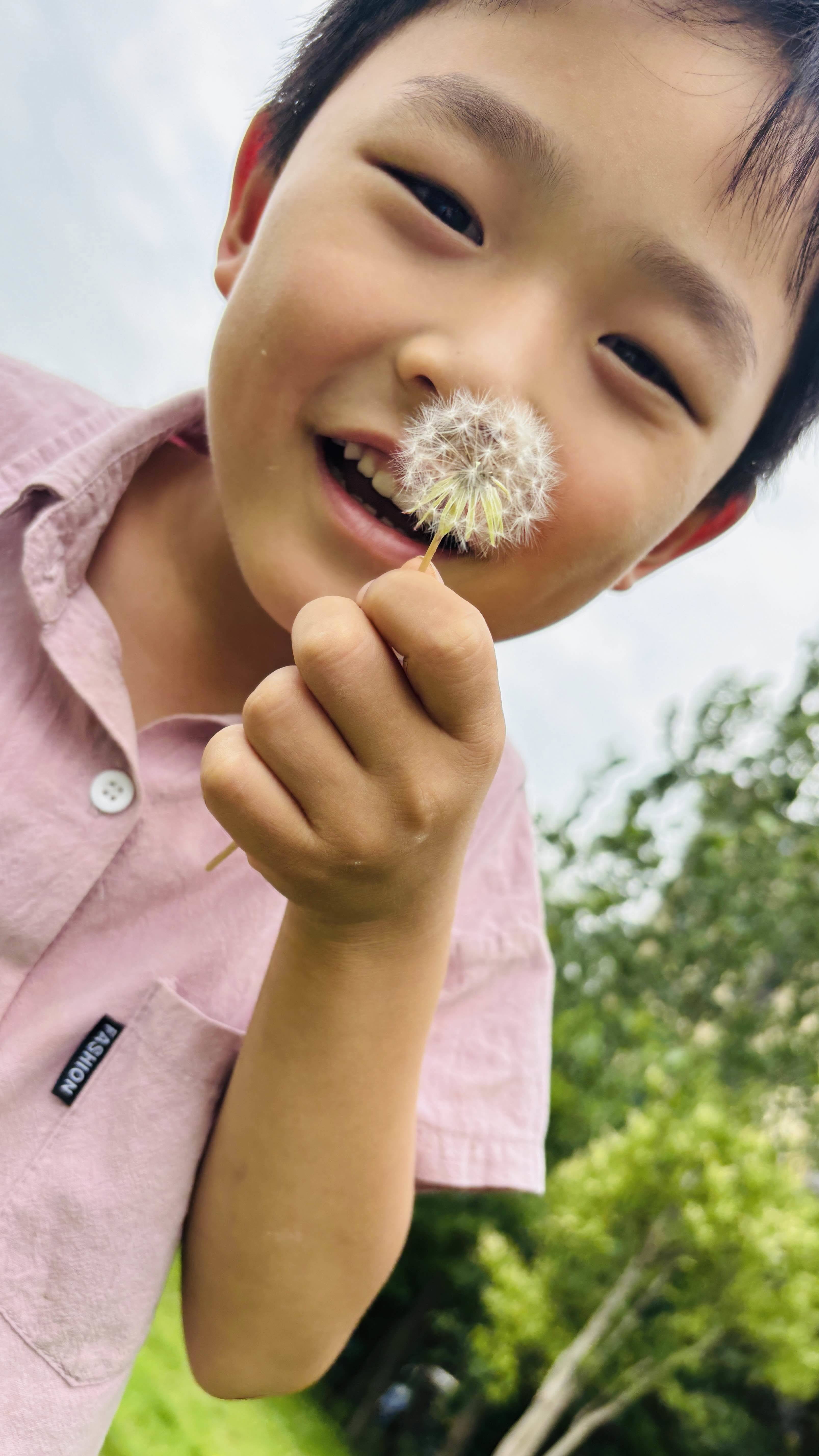 秋小葵