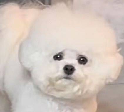 房东。。。