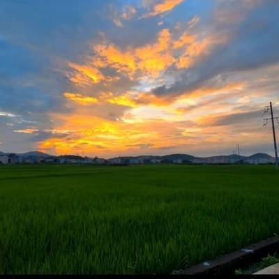 欣欣向荣