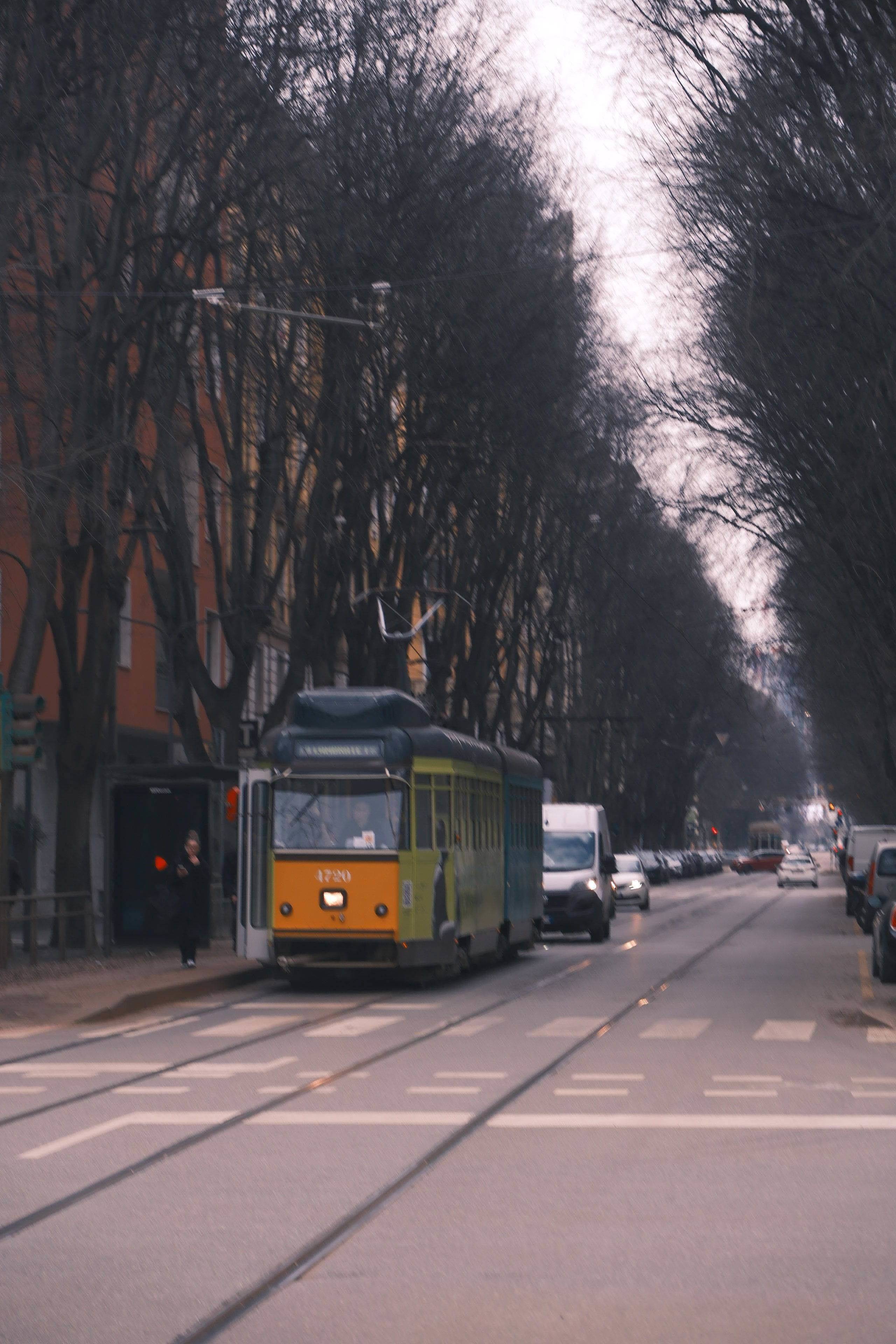 life_photo_1