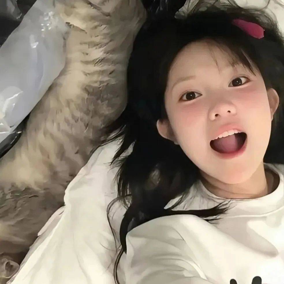 小月宝