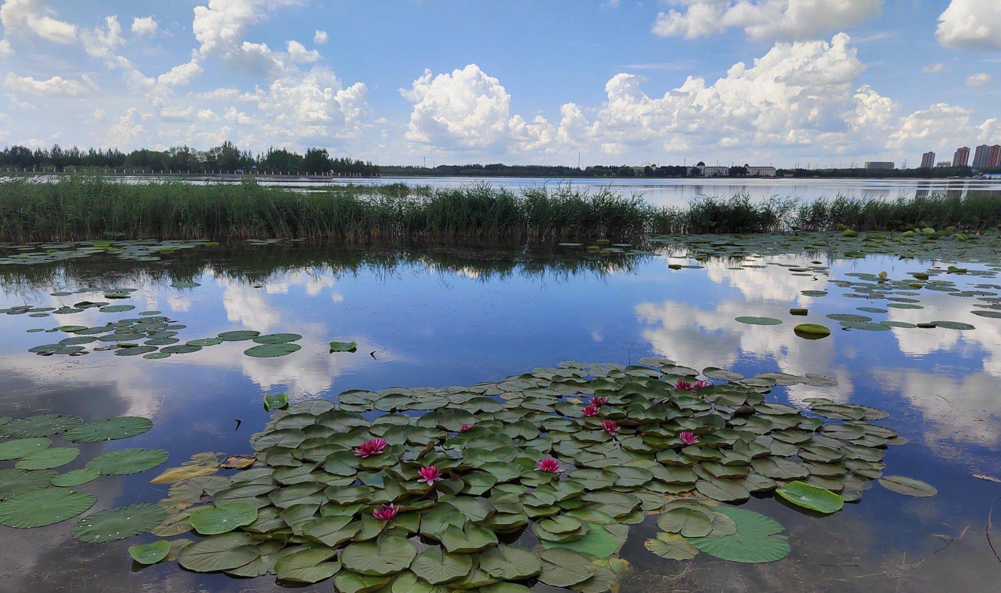 life_photo_2