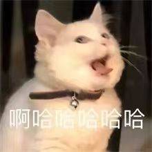 布鲁布鲁布鲁
