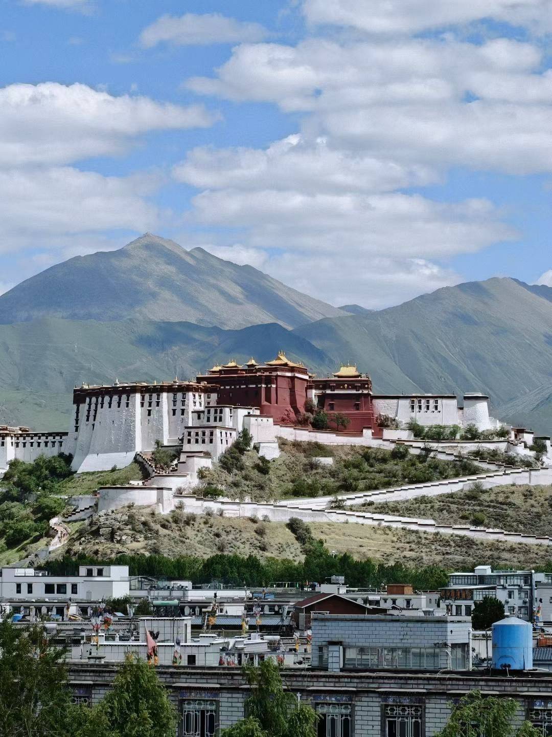 非诚勿扰