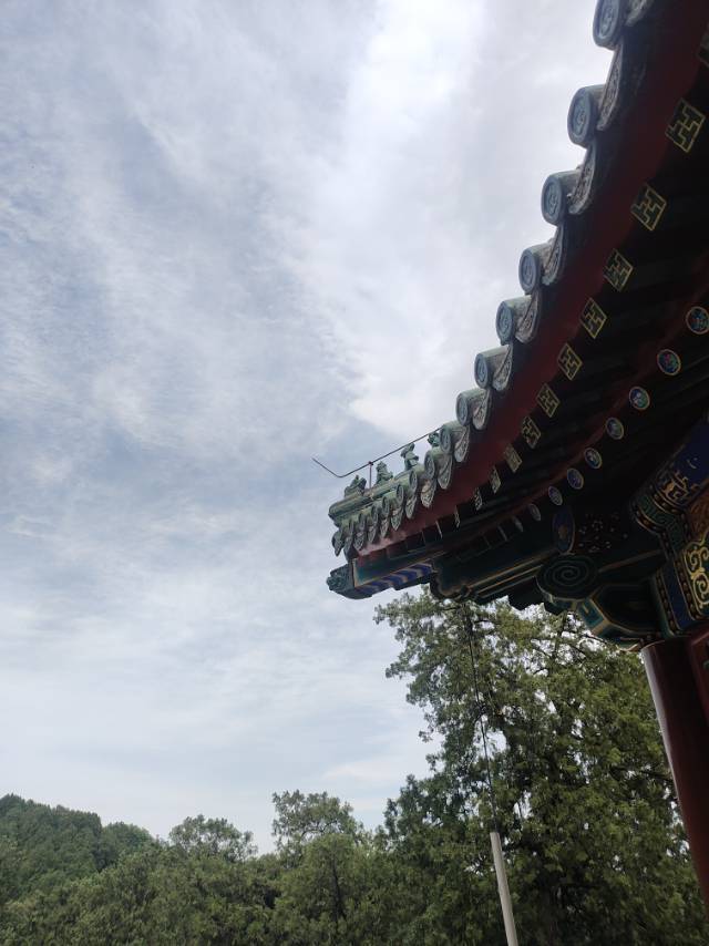 丽丽