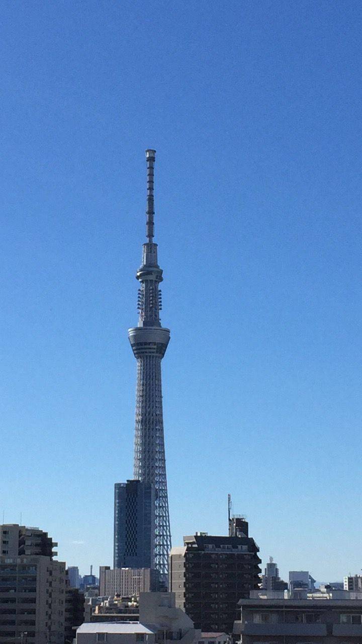 自渡