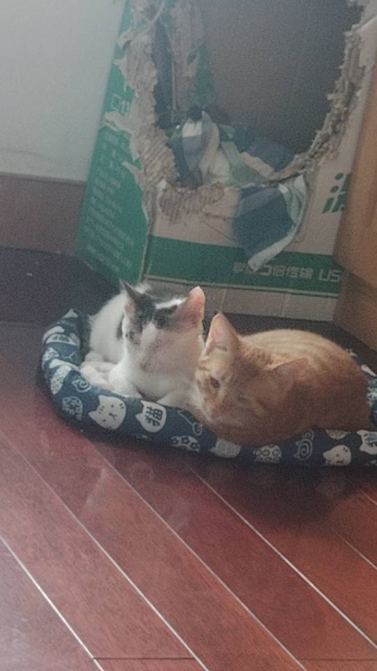随缘