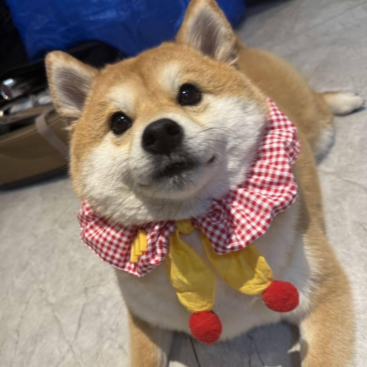 yiyi