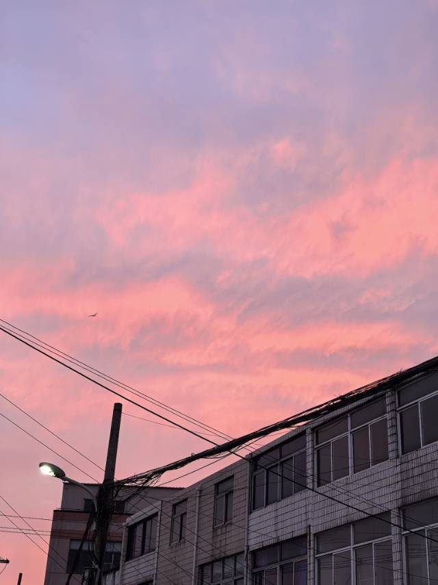 荔枝