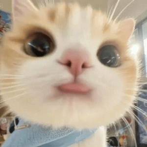 苏