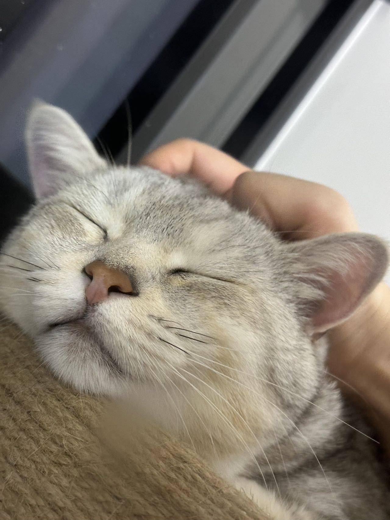 人机大王