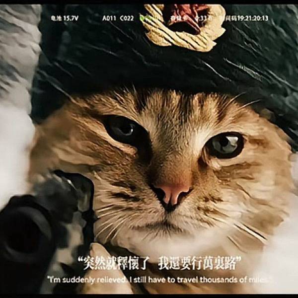 要工作了呀