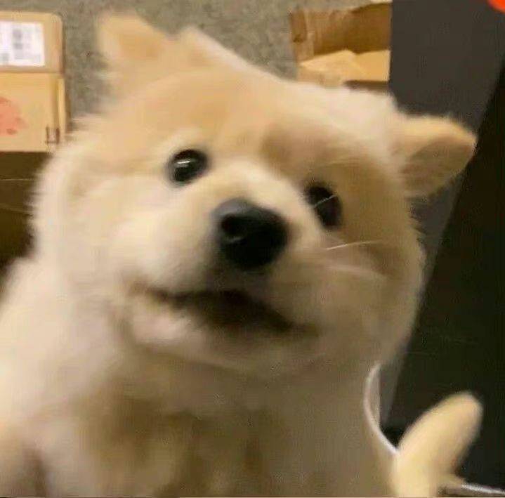 阿圆