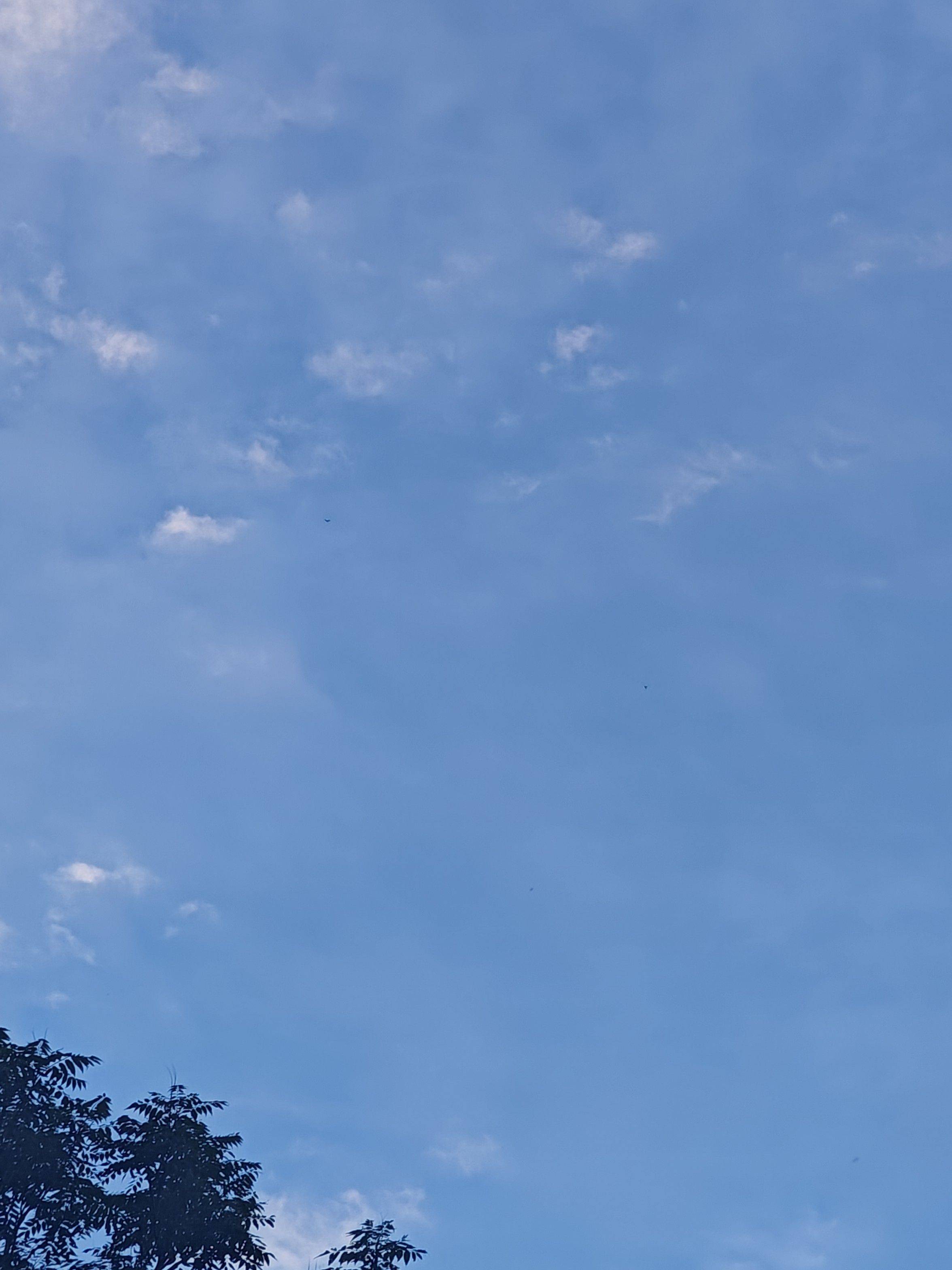 王
