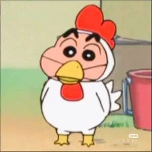 野猪不在圈