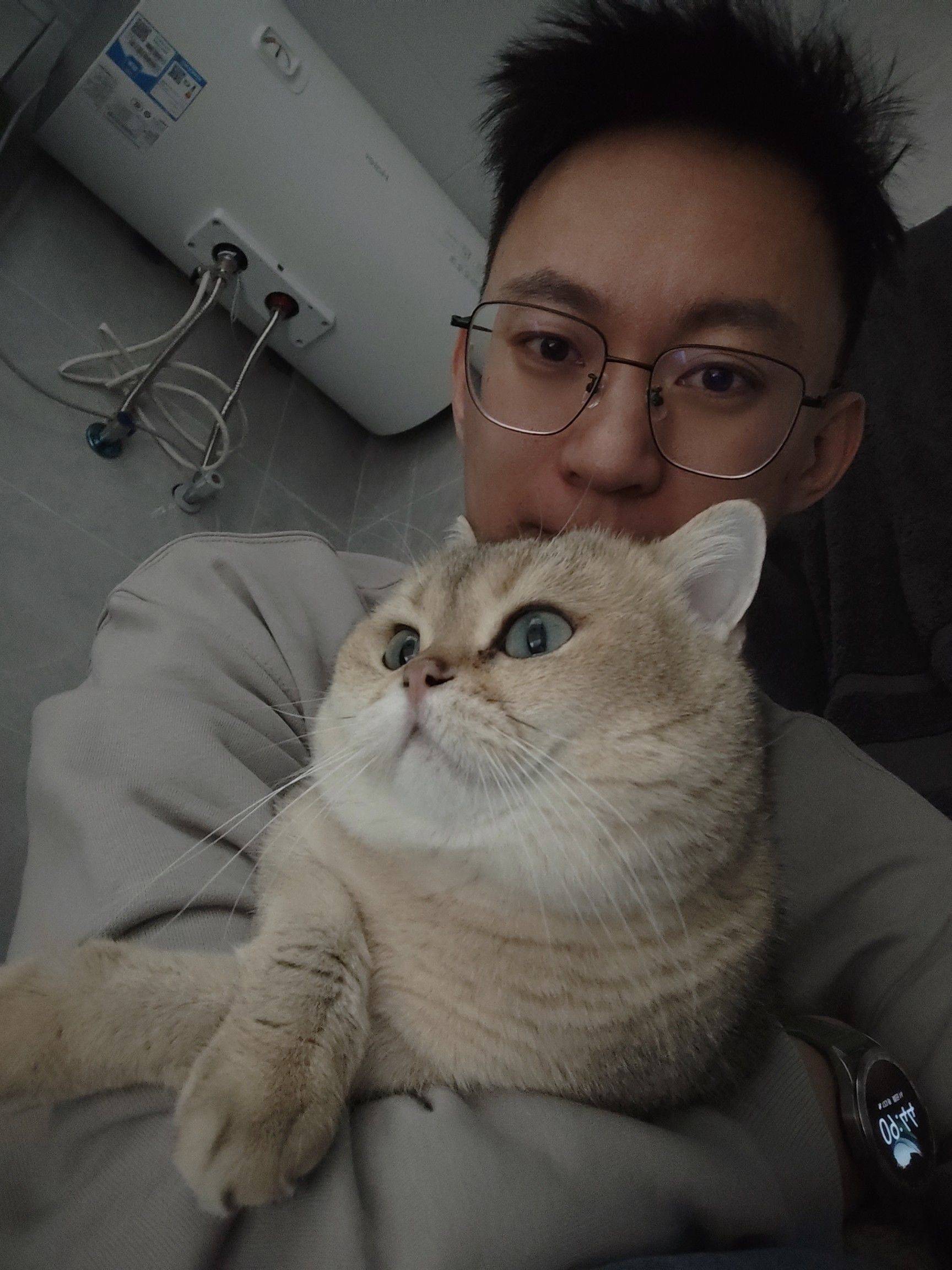 锦鲤