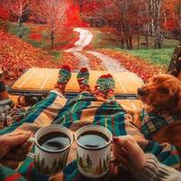 自己的房子出租