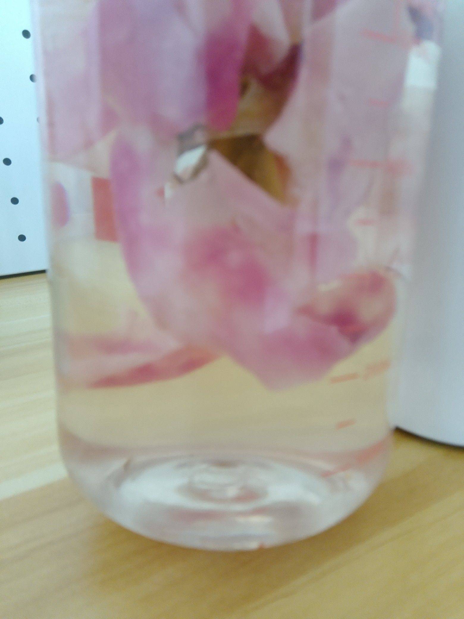 玫瑰玫瑰