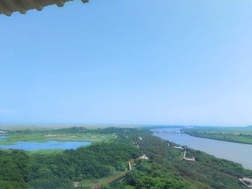 八十八夜的茶摘