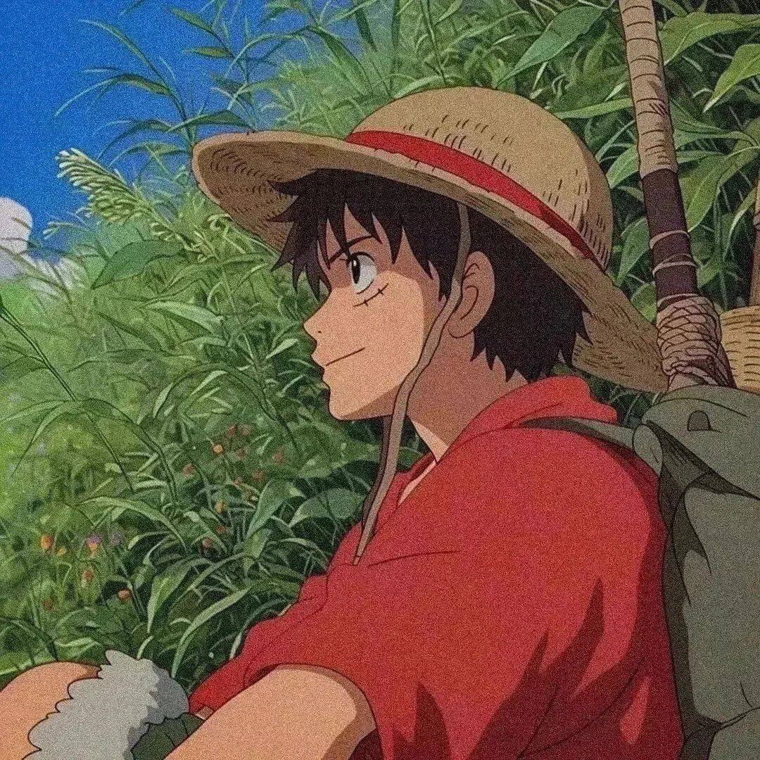 鲸木