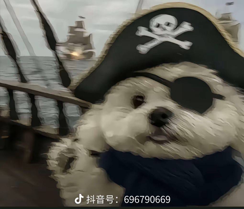 报告