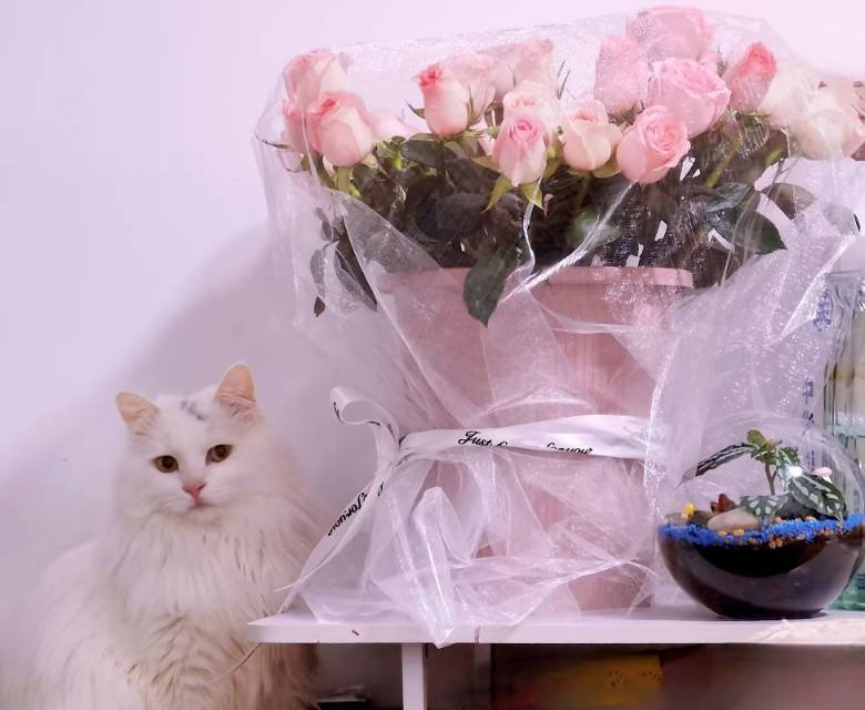 东单地铁房同屋不同床