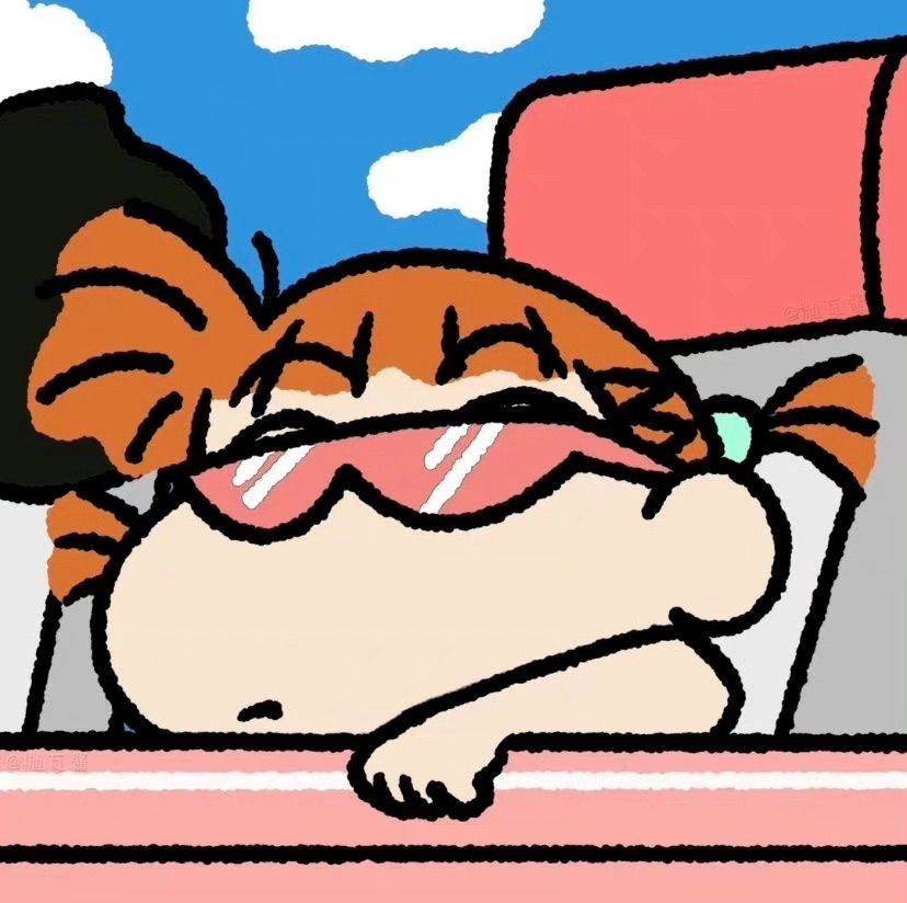 迪拜的猫猫