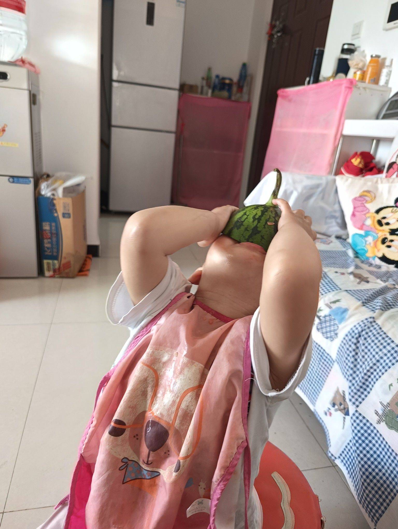 飞鱼0803