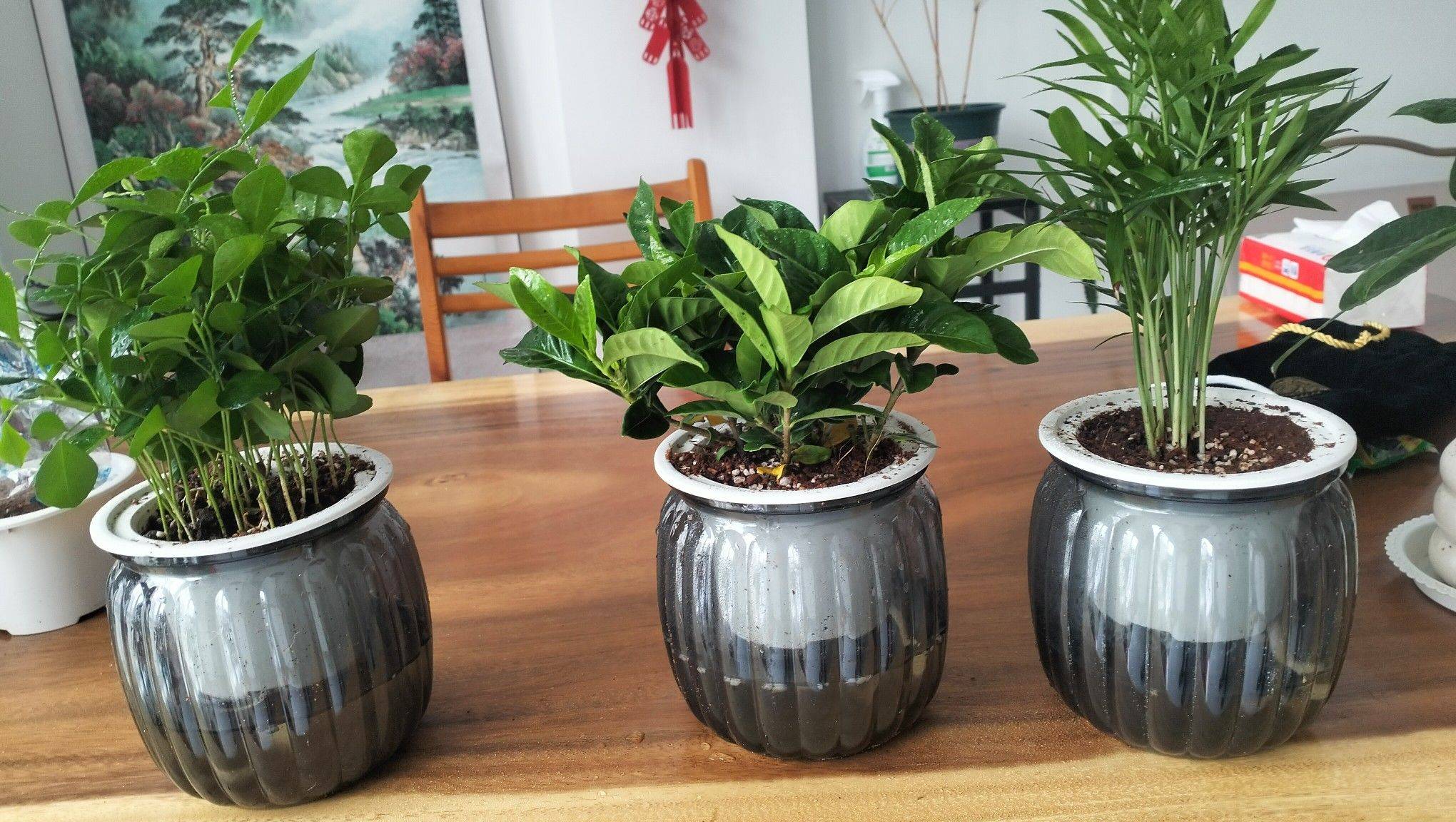 房东小墨