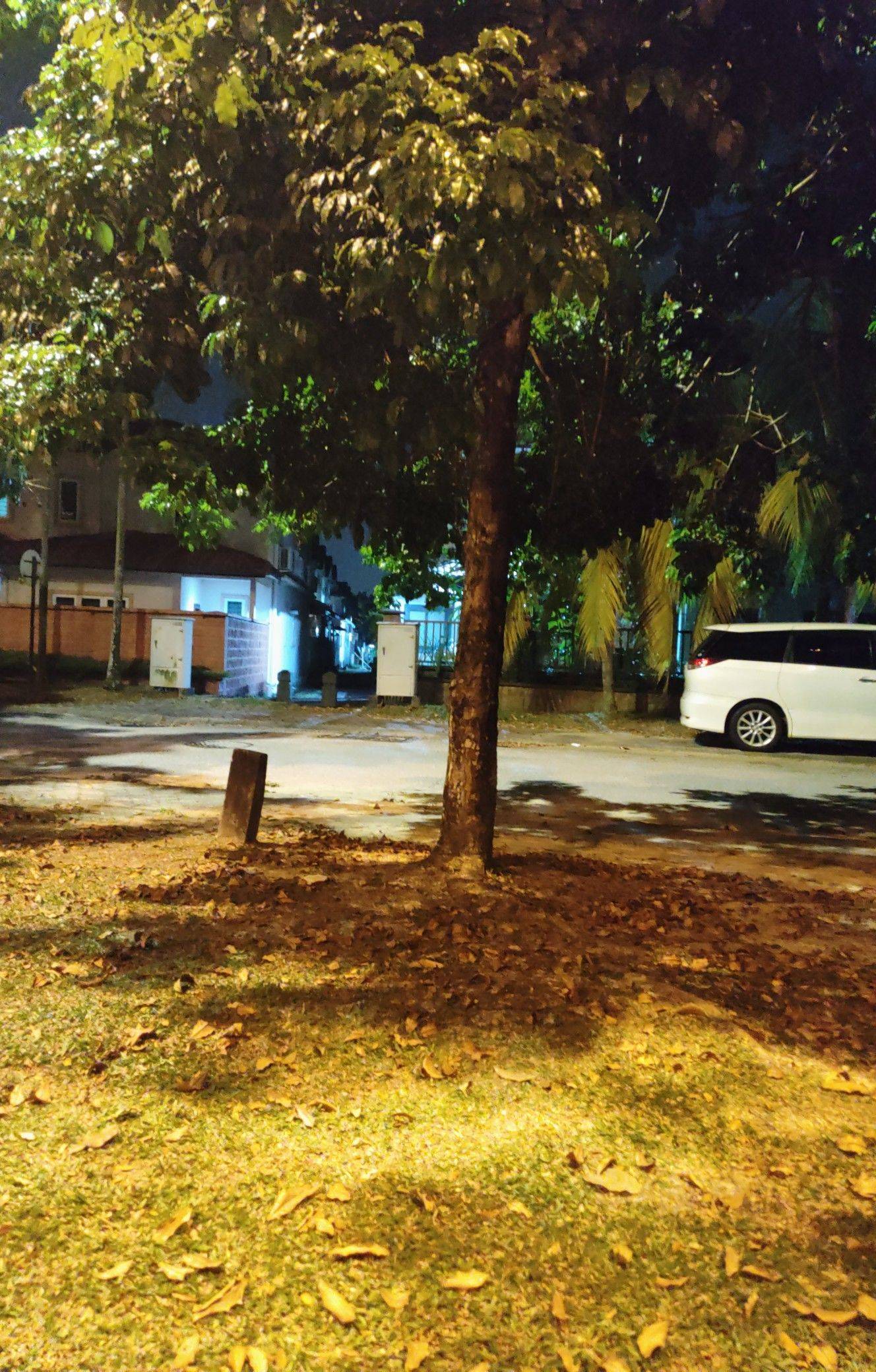 life_photo_2