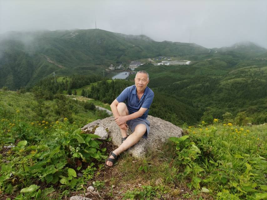 山不在高