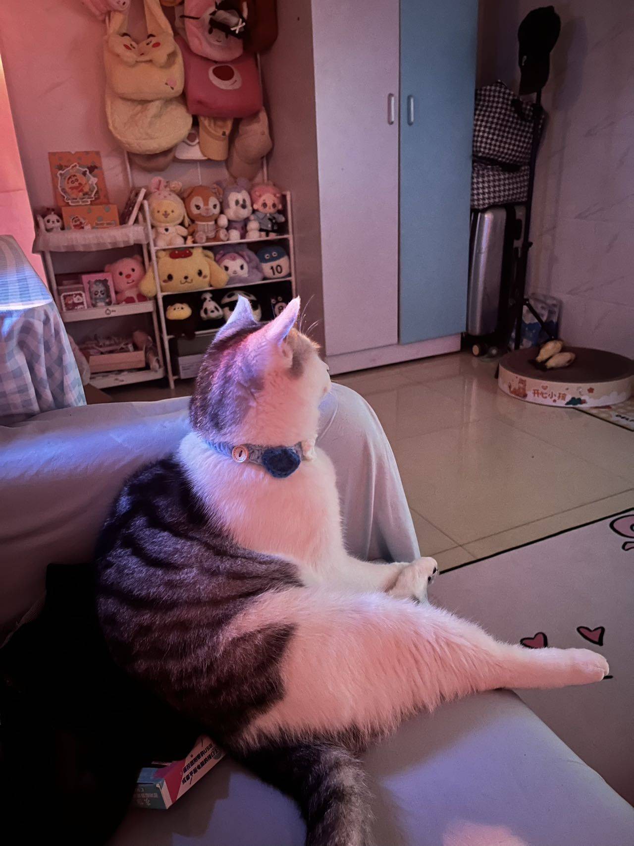 拉面小小丸子🍒