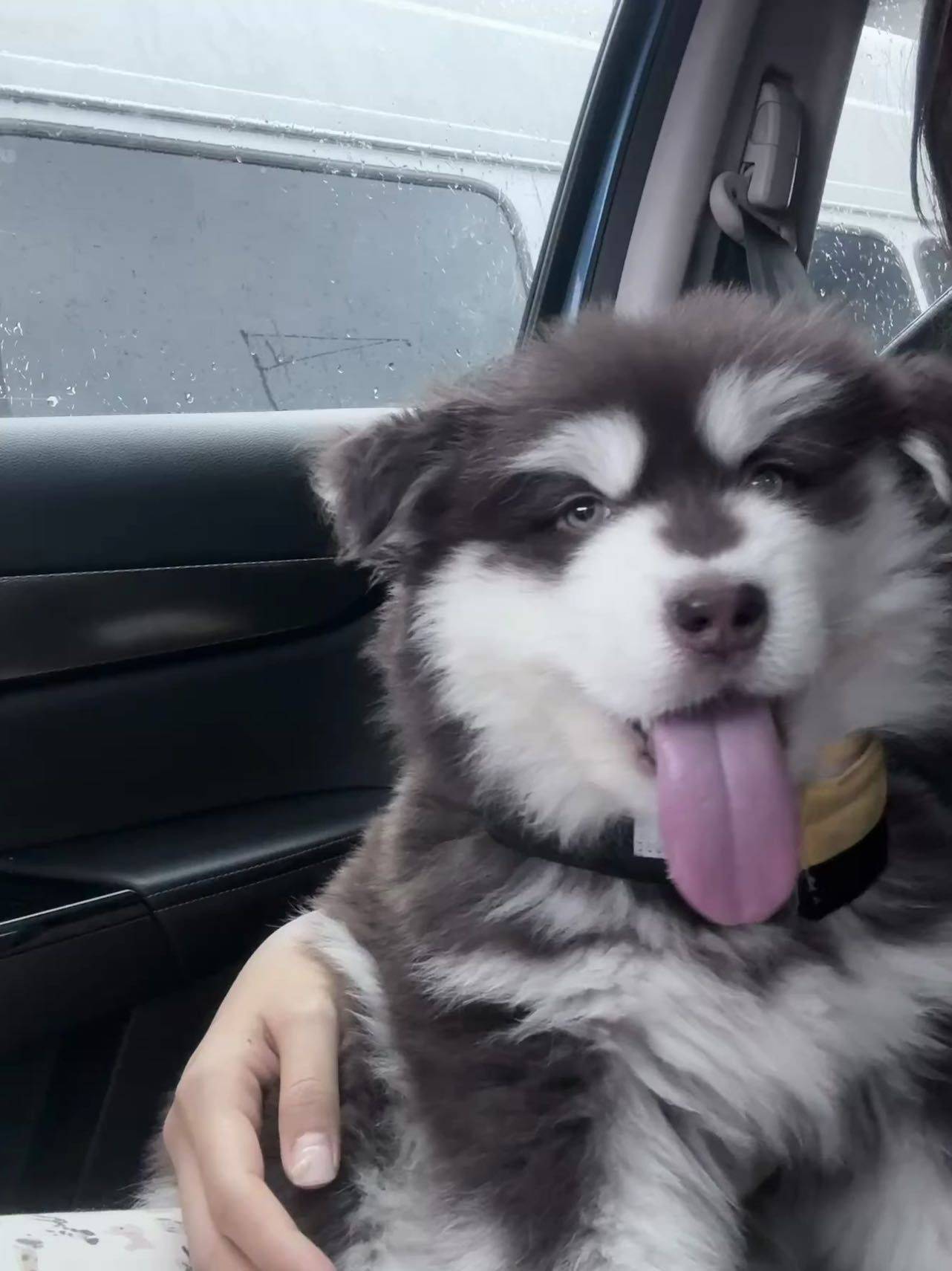 凯创智慧公寓转租